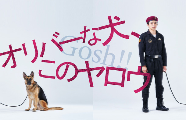 オリバーな犬、(Gosh!!)このヤロウ の公式ビジュアル