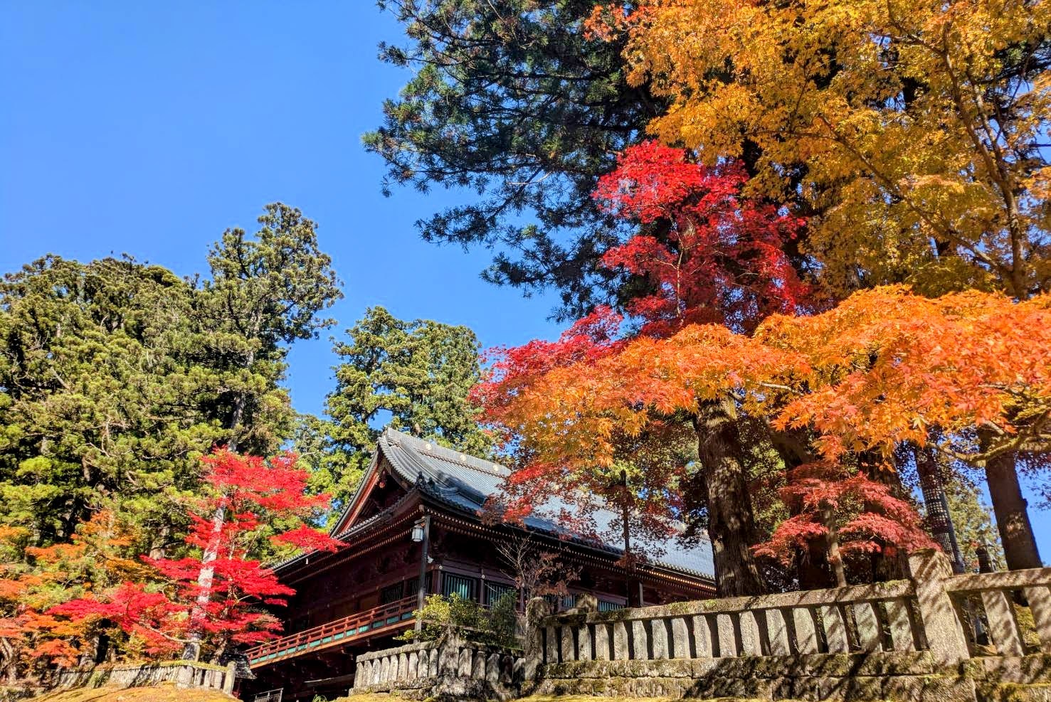 (キャプション自動取得対象外)